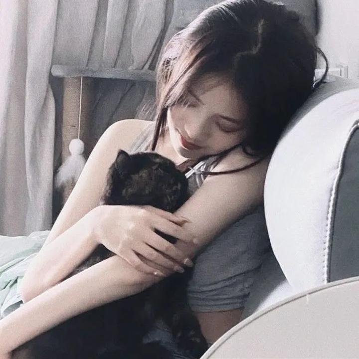 罗伯特·唐尼：自成一格